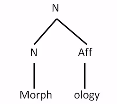 Pretrained Language Models